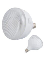 ZMR 25958 ZMR-113/B.65 50W E27 6500K Kristal Camlı T-BULB Beyaz LED Ampul