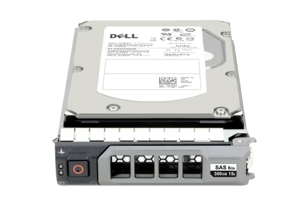 DELL 300GB 3.5'' 10K 6Gbps SAS Sunucu Harddisk